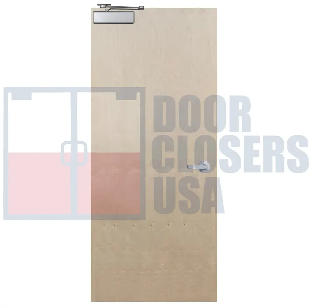 Plain Sliced Natural Birch