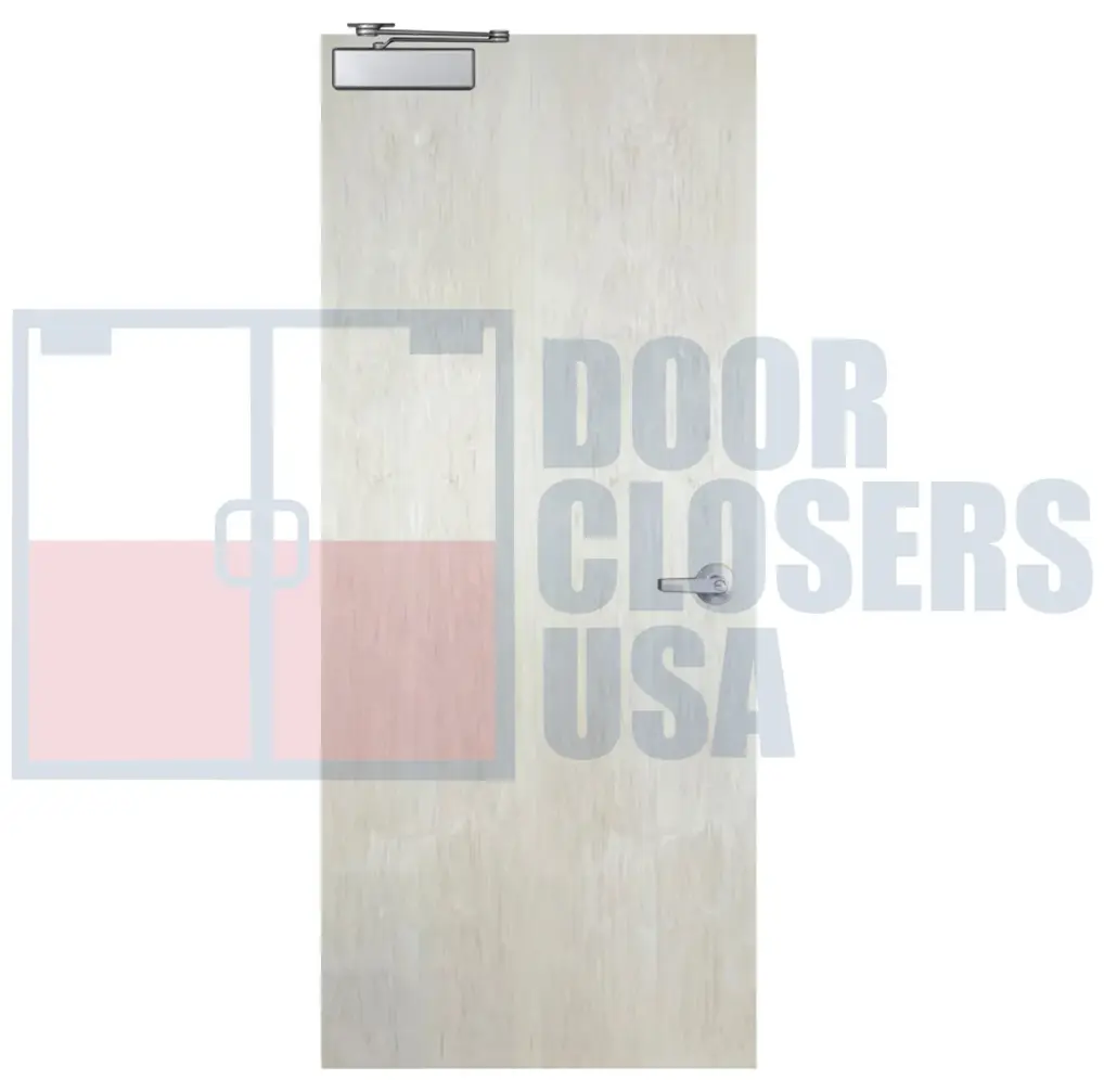 Plain Sliced White Birch