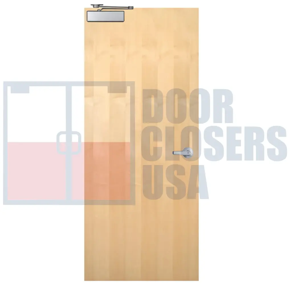 Plain Sliced White Maple