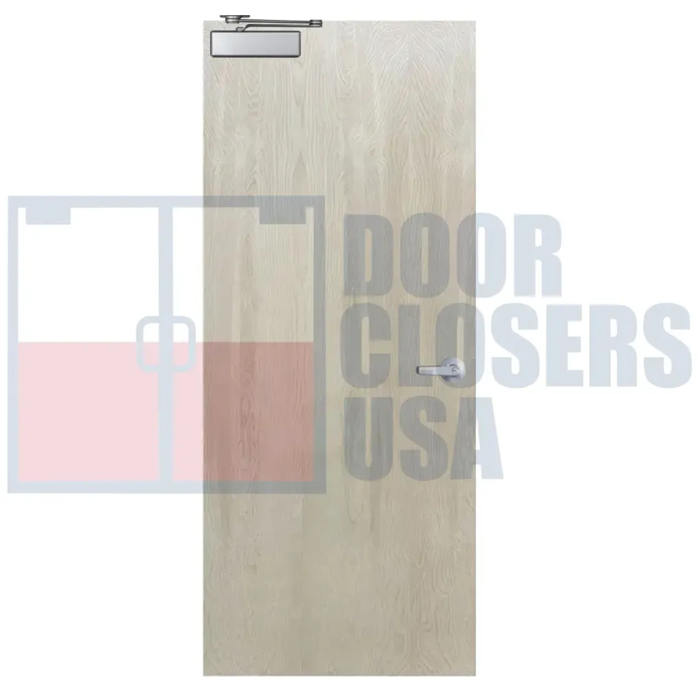 Rotary Cut White Birch